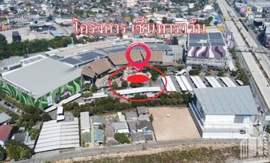 Land for sale in Rop Wiang, Chiang Rai