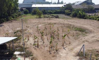Land for sale in Rop Wiang, Chiang Rai
