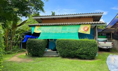 Land for sale in Pong Phrae, Chiang Rai
