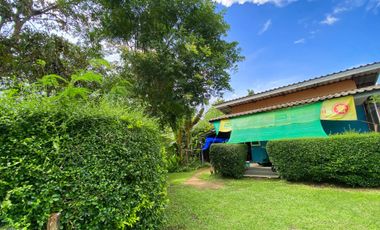 Land for sale in Pong Phrae, Chiang Rai