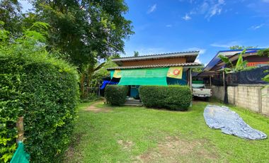 Land for sale in Pong Phrae, Chiang Rai