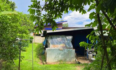 Land for sale in Pong Phrae, Chiang Rai