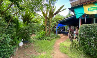 Land for sale in Pong Phrae, Chiang Rai