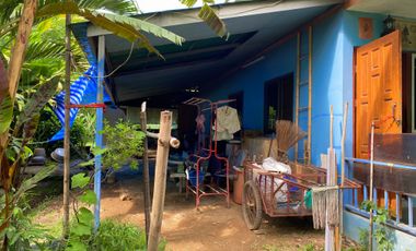 Land for sale in Pong Phrae, Chiang Rai