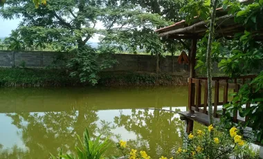 2 Bedroom House for sale in Pa Ko Dam, Chiang Rai