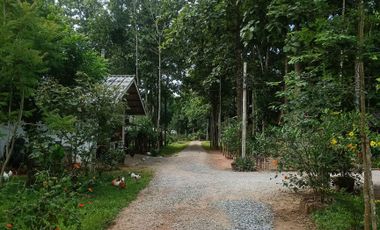 2 Bedroom House for sale in Pa Ko Dam, Chiang Rai