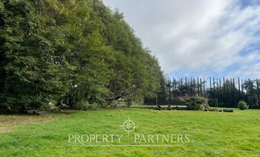 Sitio con dos cabañas a orilla de Lago Puyehue