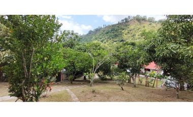 Venta casalote de 735 M2 en 245 mill en La Mesa Cund
