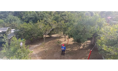 Venta casalote de 735 M2 en 245 mill en La Mesa Cund