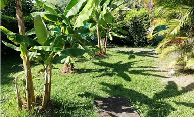 Venta casalote de 735 M2 en 245 mill en La Mesa Cund