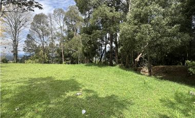 Vendo casa finca en Guarne, Vereda la Clara (cm)