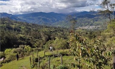 VENDO O PERMUTO FINCA  EN JUNIN CUNDINAMARCA