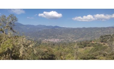 VENDO O PERMUTO FINCA  EN JUNIN CUNDINAMARCA