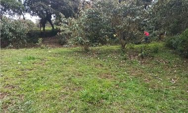 VENDO O PERMUTO FINCA  EN JUNIN CUNDINAMARCA