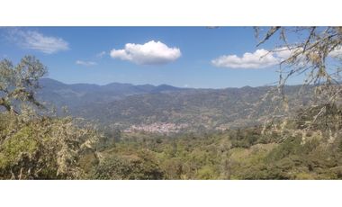 VENDO O PERMUTO FINCA  EN JUNIN CUNDINAMARCA