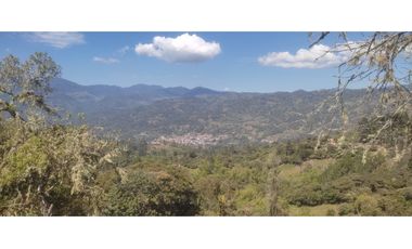 VENDO O PERMUTO FINCA  EN JUNIN CUNDINAMARCA