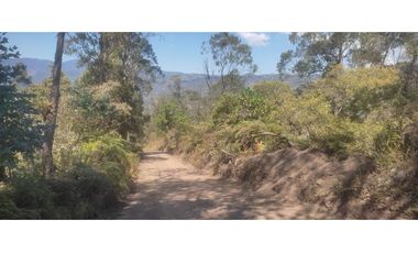 VENDO O PERMUTO FINCA  EN JUNIN CUNDINAMARCA