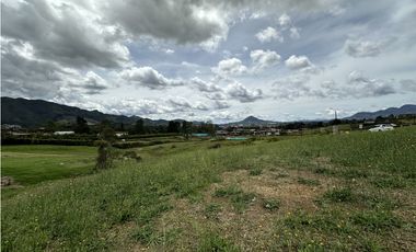 Venta de Lote En La Ceja