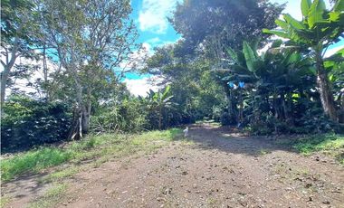 VENDO FINCA DE CAFE Y GANADERIA 118 Hectareas