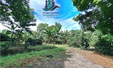 VENDO FINCA DE CAFE Y GANADERIA 118 Hectareas