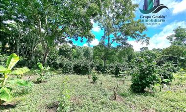 VENDO FINCA DE CAFE Y GANADERIA 118 Hectareas