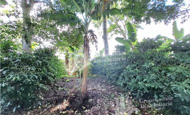 VENDO FINCA DE CAFE Y GANADERIA 118 Hectareas