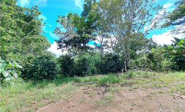 VENDO FINCA DE CAFE Y GANADERIA 118 Hectareas