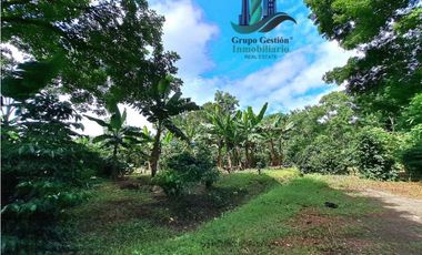 VENDO FINCA DE CAFE Y GANADERIA 118 Hectareas