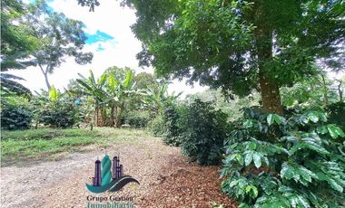 VENDO FINCA DE CAFE Y GANADERIA 118 Hectareas