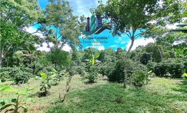 VENDO FINCA DE CAFE Y GANADERIA 118 Hectareas