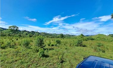 VENDO FINCA DE 116HECTAREAS MECANIZABLES