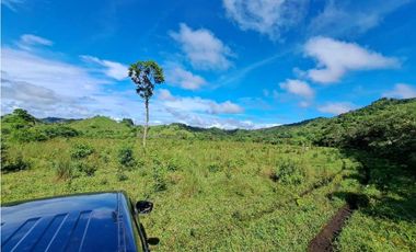 VENDO FINCA DE 116HECTAREAS MECANIZABLES