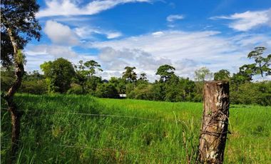 VENDO FINCA DE 116HECTAREAS MECANIZABLES