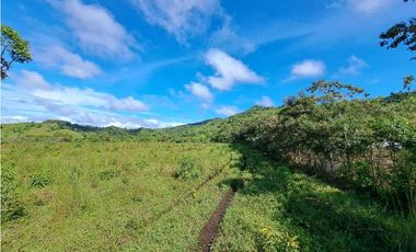 VENDO FINCA DE 116HECTAREAS MECANIZABLES