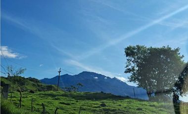 VENDO FINCA DE 116HECTAREAS MECANIZABLES