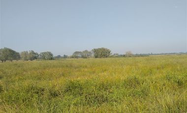 Agrícola en Venta en Las Delicias Km 4.4