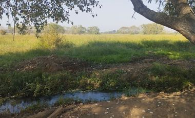 Agrícola en Venta en Las Delicias Km 4.4