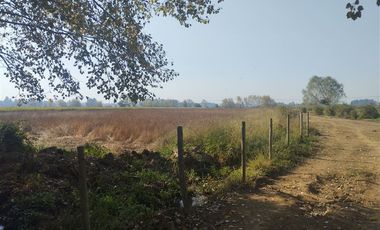 Agrícola en Venta en Las Delicias Km 4.4