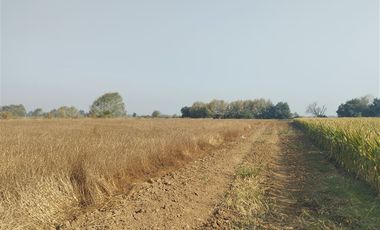 Agrícola en Venta en Las Delicias Km 4.4