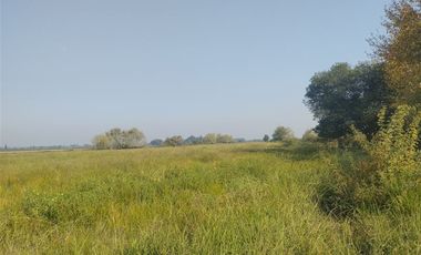 Agrícola en Venta en Las Delicias Km 4.4
