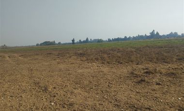 Agrícola en Venta en Las Delicias Km 4.4