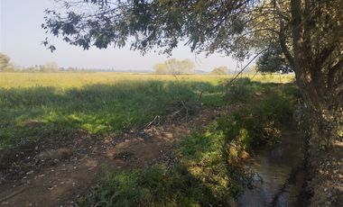 Agrícola en Venta en Las Delicias Km 4.4