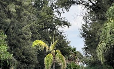 Terreno habitacional en venta en Coto San Nicolás