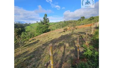 ref 910a Pavas / jiguales /la colina 1 lote 2