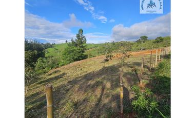 ref 910a Pavas / jiguales /la colina 1 lote 2