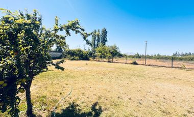 Local comercial en arriendo en LA PINTANA