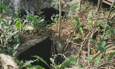 Terrenos en venta en Yucatan, Temozon GPS