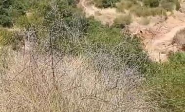 Parcela en Venta en Ranquilhue
