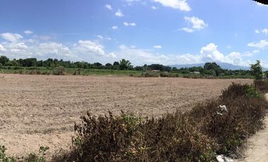 Land for sale in Pa Phai, Chiang Mai