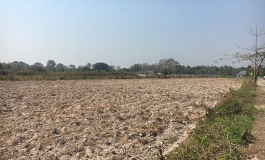 Land for sale in Pa Phai, Chiang Mai